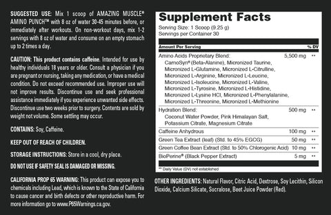 Image of Amazing Muscle Amino Punch | Cherry Ice Flavor | 30 Servings | 9.8 Oz | 9.25 Grams per Serving