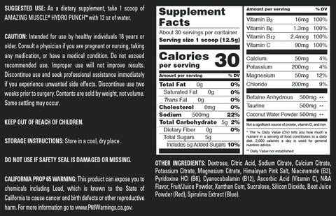 Image of Amazing Muscle Hydro Punch | Hydration + Electrolyte Blend | Pre-Intro & Post Workout Powder Supplement | 30 Servings | Grape Candy Flavor