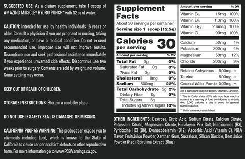 Image of Amazing Muscle Hydro Punch | Hydration + Electrolyte Blend | Pre-Intro & Post Workout Powder Supplement | 30 Servings | Blueberry Pomegranate Blast Flavor