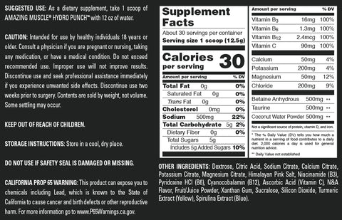 Image of Amazing Muscle Hydro Punch | Hydration + Electrolyte Blend | Pre-Intro & Post Workout Powder Supplement | 30 Servings | Lemon Lime Flavor