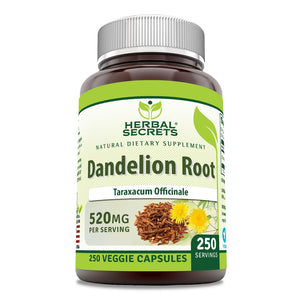 Herbal Secrets Dandelion Root | 520 Mg | 240 Capsules