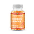 Amazing Gummies Turmeric & Ginger Extract | Apricot Flavor | 120 Gummies