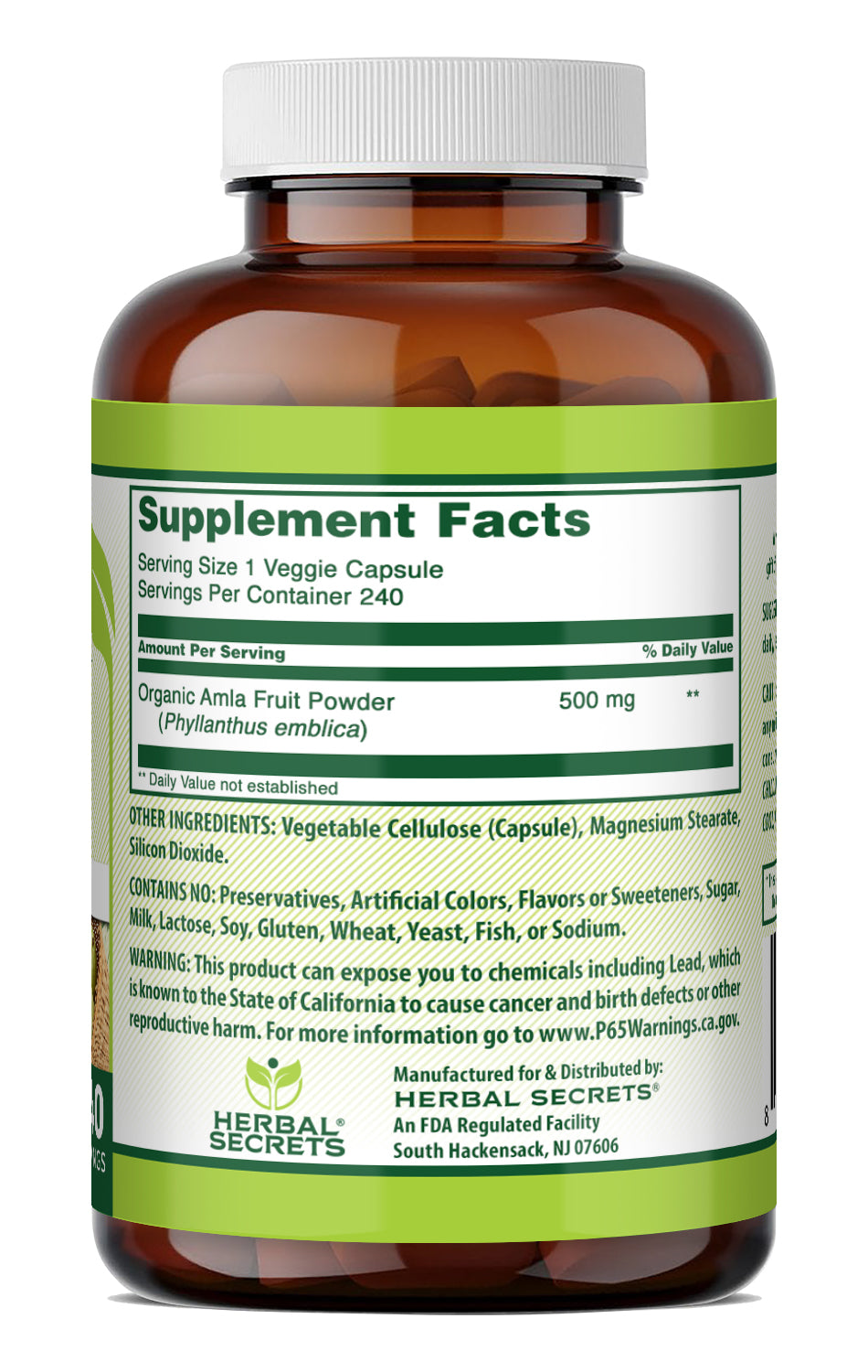 Herbal Secrets Natural Amla 500 Mg | 240 Veggie Capsules