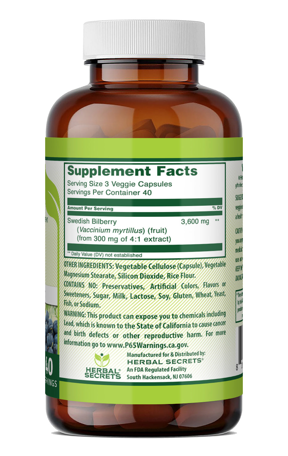 Herbal Secrets Bilberry 3600 Mg per Serving | (4:1 Standardized Extract) | 120 Veggie Capsules