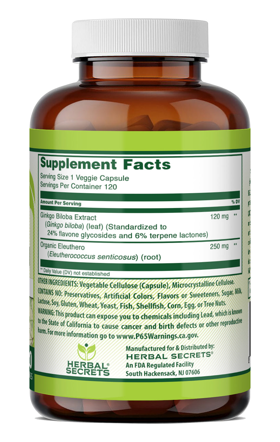 Herbal Secrets Ginkgo Biloba Extract (Double Strength) | 120 Mg | 120 Veggie Capsules