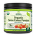 Herbal Secrets Camu Camu Powder | 4 Oz | 5 Grams per Serving | 22 Servings | USDA Organic